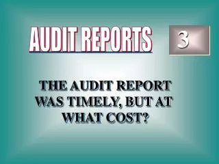 THE AUDIT REPORT WAS TIMELY, BUT AT WHAT COST?