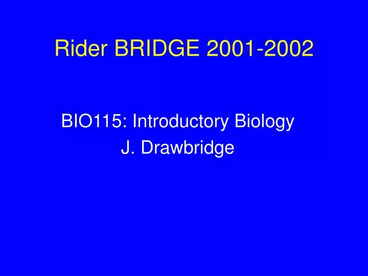 rider bridge 2001 2002