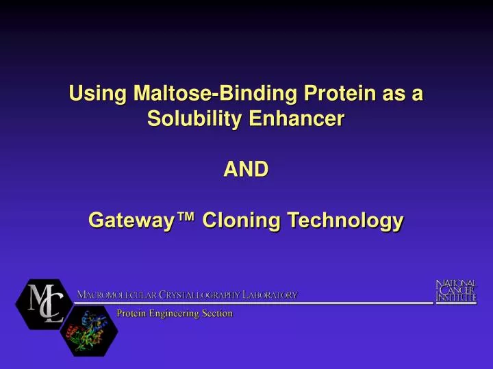 using maltose binding protein as a solubility enhancer and gateway cloning technology
