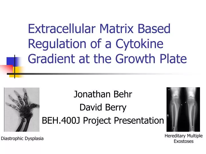 extracellular matrix based regulation of a cytokine gradient at the growth plate
