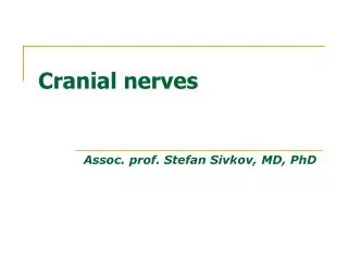 Cranial nerves