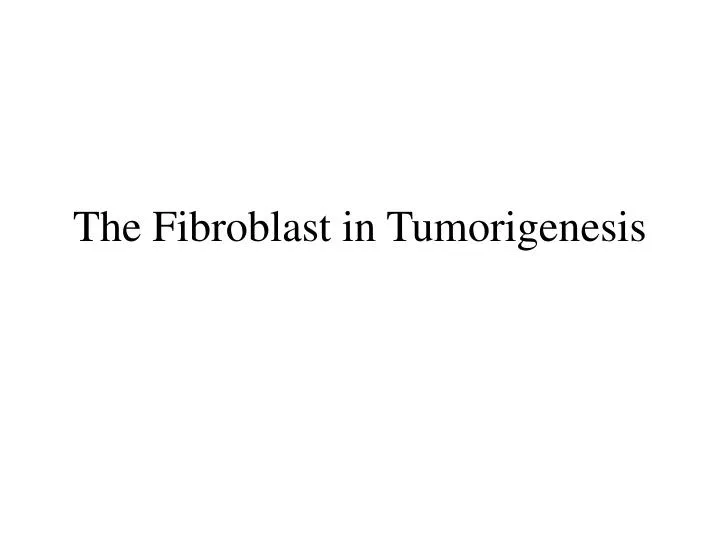 the fibroblast in tumorigenesis