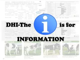DHI-The is for INFORMATION