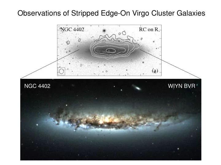 observations of stripped edge on virgo cluster galaxies