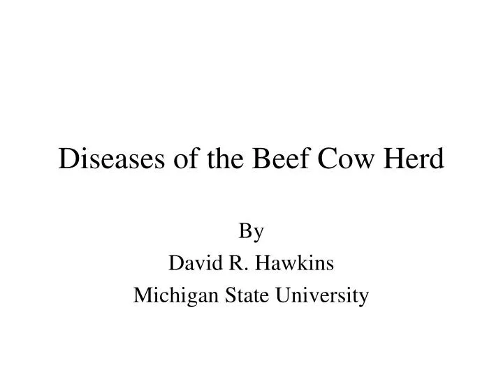 diseases of the beef cow herd