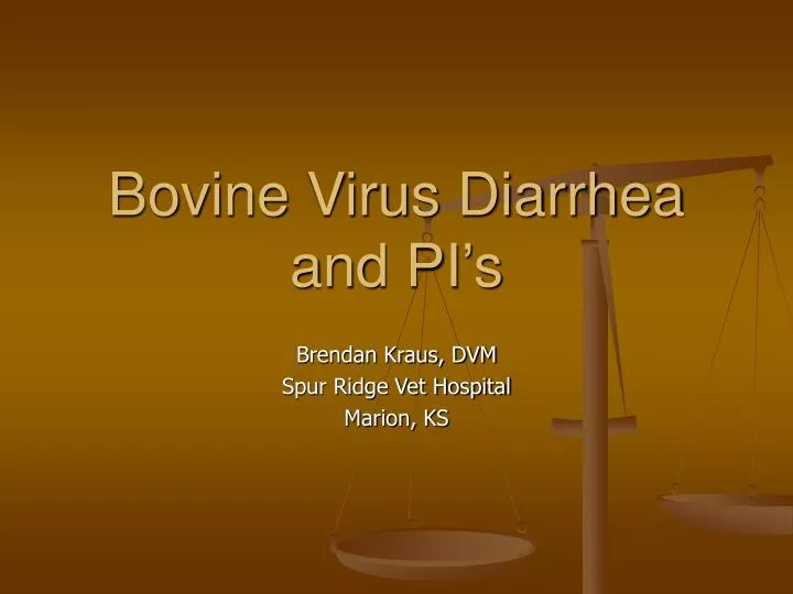 bovine virus diarrhea and pi s