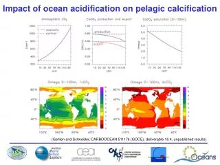 Impact of ocean acidification on pelagic calcification