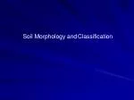 Soil Morphology and Classification - slide 1