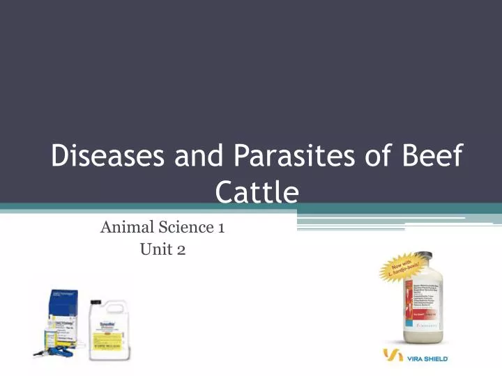 diseases and parasites of beef cattle