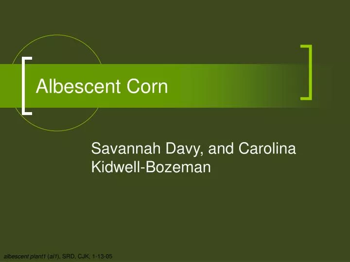 albescent corn