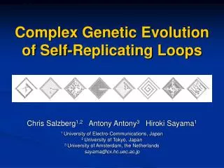 Complex Genetic Evolution of Self-Replicating Loops