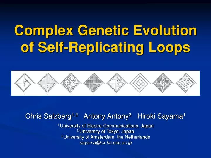 complex genetic evolution of self replicating loops