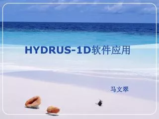 hydrus 1d
