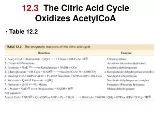 12.3 The Citric Acid Cycle Oxidizes AcetylCoA