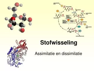 stofwisseling