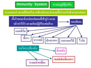 Immunity System