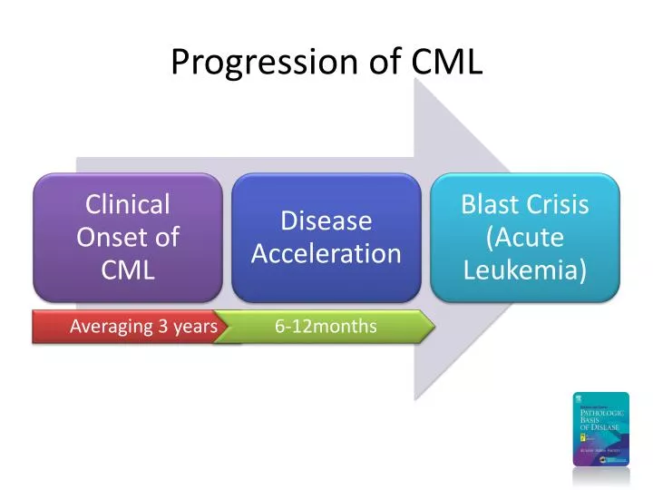 progression of cml