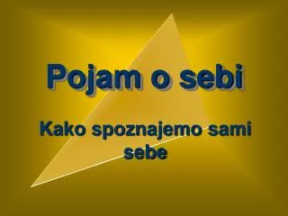 pojam o sebi