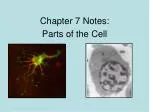 Inside the Cell: Structure and Functions - slide 1
