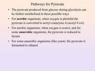 Pathways for Pyruvate