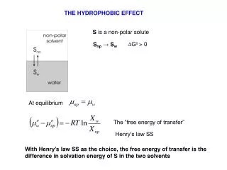 THE HYDROPHOBIC EFFECT