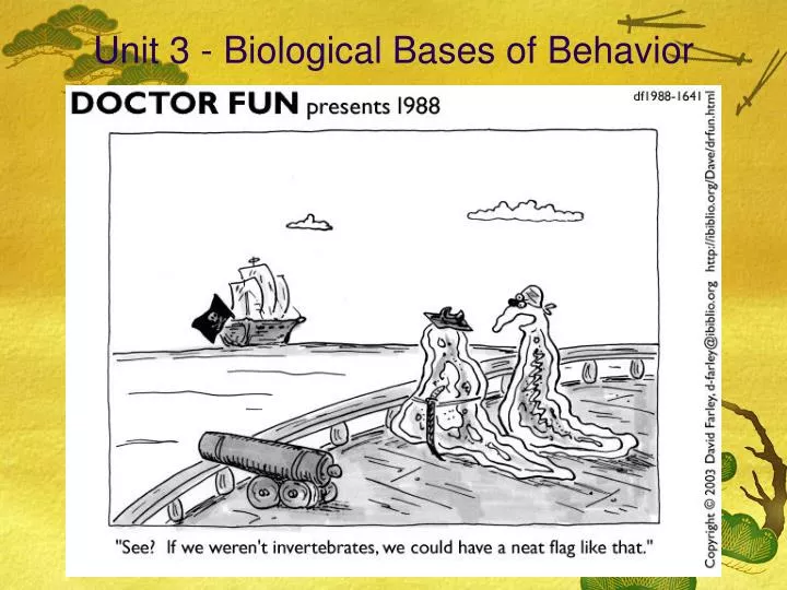 unit 3 biological bases of behavior