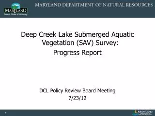 Deep Creek Lake Submerged Aquatic Vegetation (SAV) Survey: Progress Report