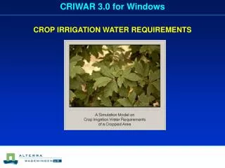 CROP IRRIGATION WATER REQUIREMENTS