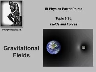 Gravitational Fields