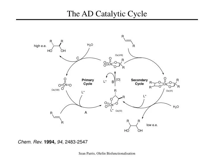 the ad catalytic cycle