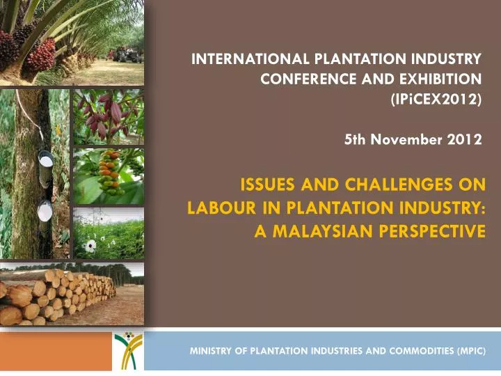 issues and challenges on labour in plantation industry a malaysian perspective