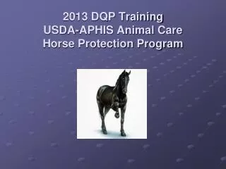 2013 DQP Training USDA-APHIS Animal Care Horse Protection Program