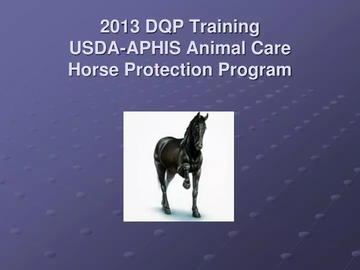 2013 dqp training usda aphis animal care horse protection program