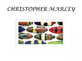 CHRISTOPHER MARLEY