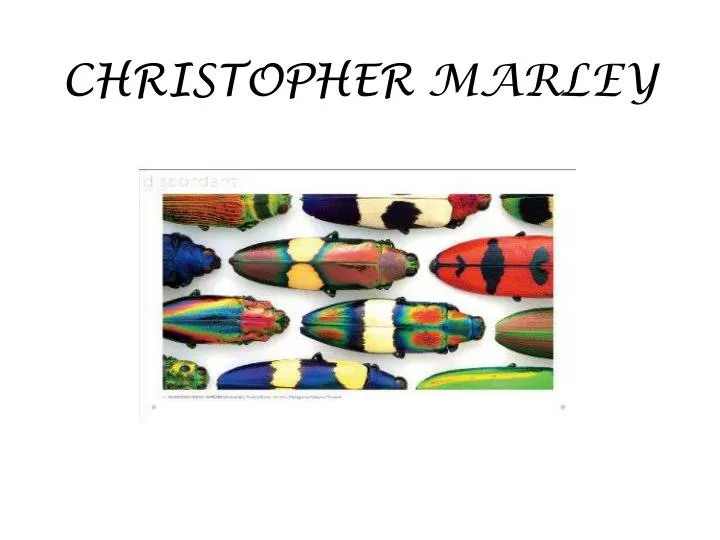 christopher marley