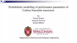 Probabilistic modelling of performance parameters of Carbon Nanotube transistors