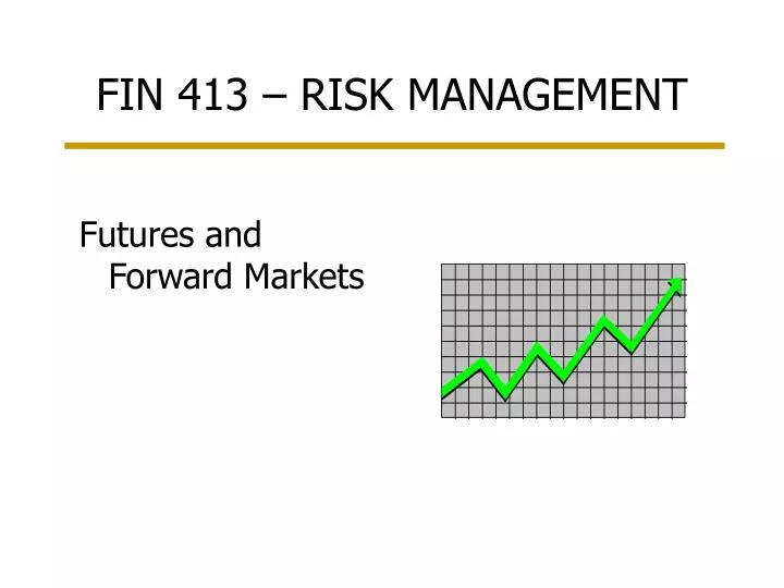 fin 413 risk management