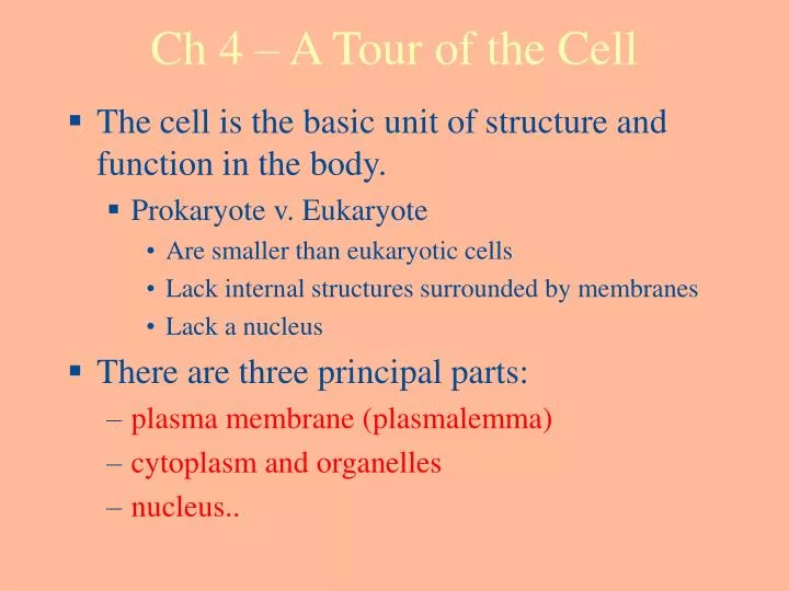 ch 4 a tour of the cell