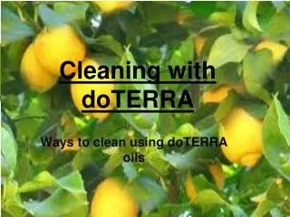 Cleaning with doTERRA