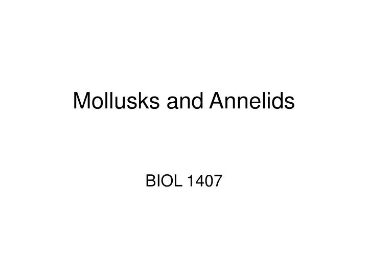 mollusks and annelids