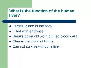 What is the function of the human liver?