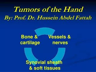Tumors of the Hand By: Prof. Dr. Hussein Abdel Fattah