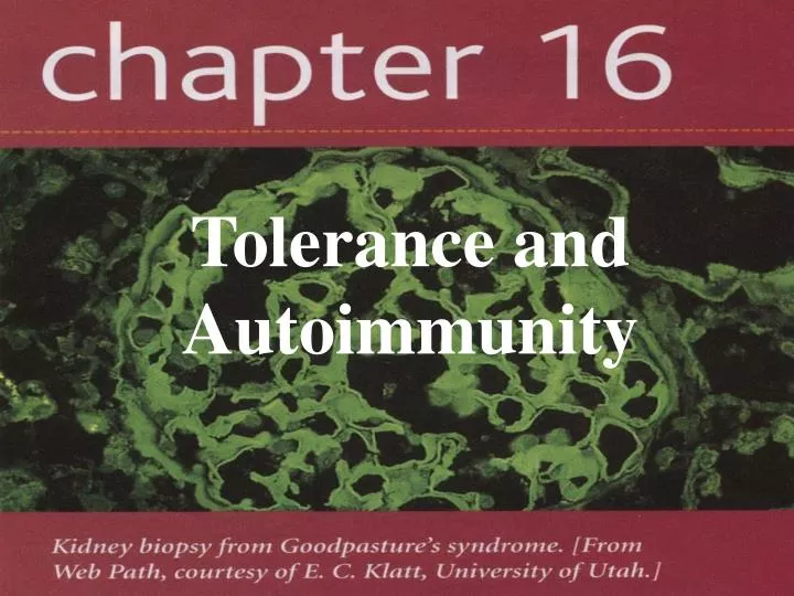 tolerance and autoimmunity