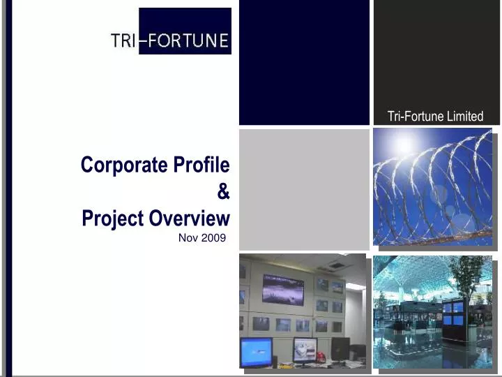 corporate profile project overview