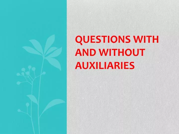 questions with and without auxiliaries