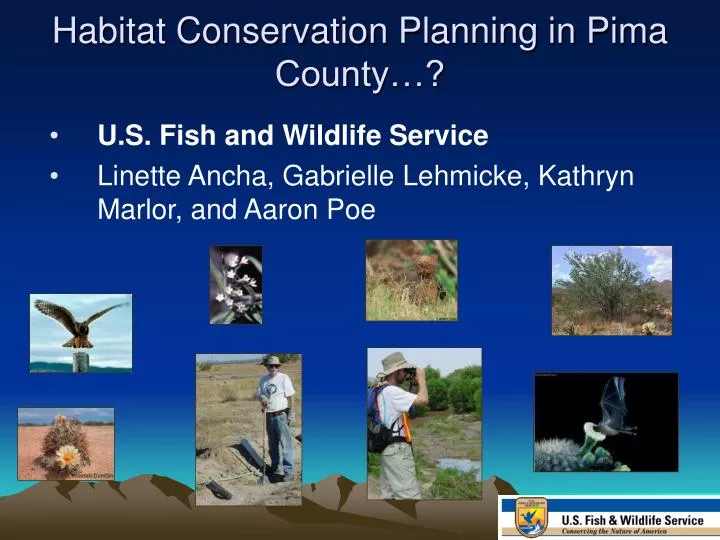 habitat conservation planning in pima county