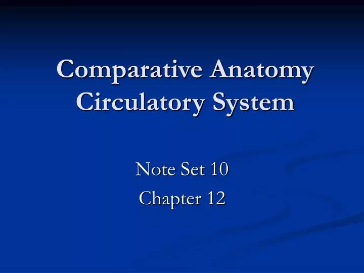 comparative anatomy circulatory system