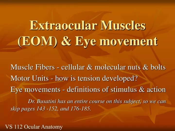 extraocular muscles eom eye movement