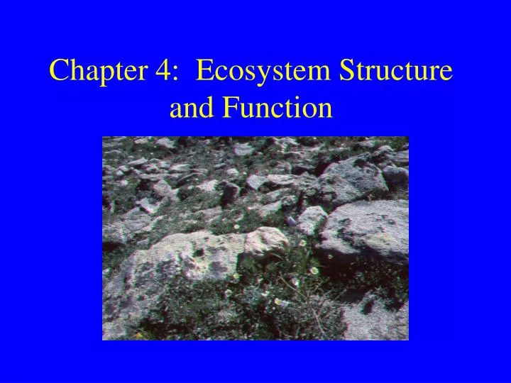 chapter 4 ecosystem structure and function