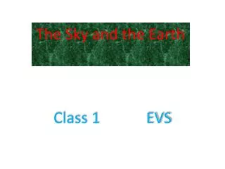 Class 1 EVS
